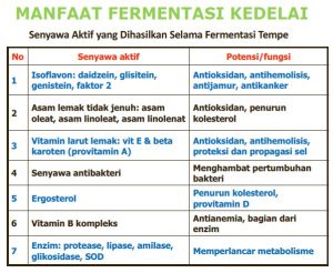 manfaat-fermentasi
