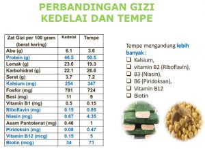 tempe-dan-kedelai