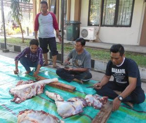 epul